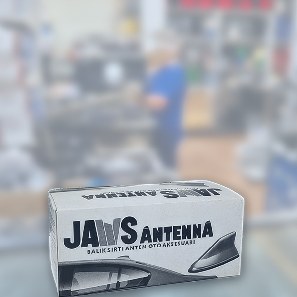 Balık Sırtı Köpek Balığı Balina Gerçek Anten